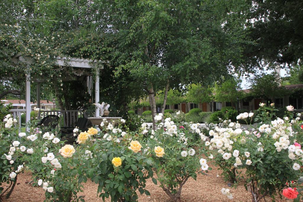 Meadowlark Inn Solvang Kültér fotó