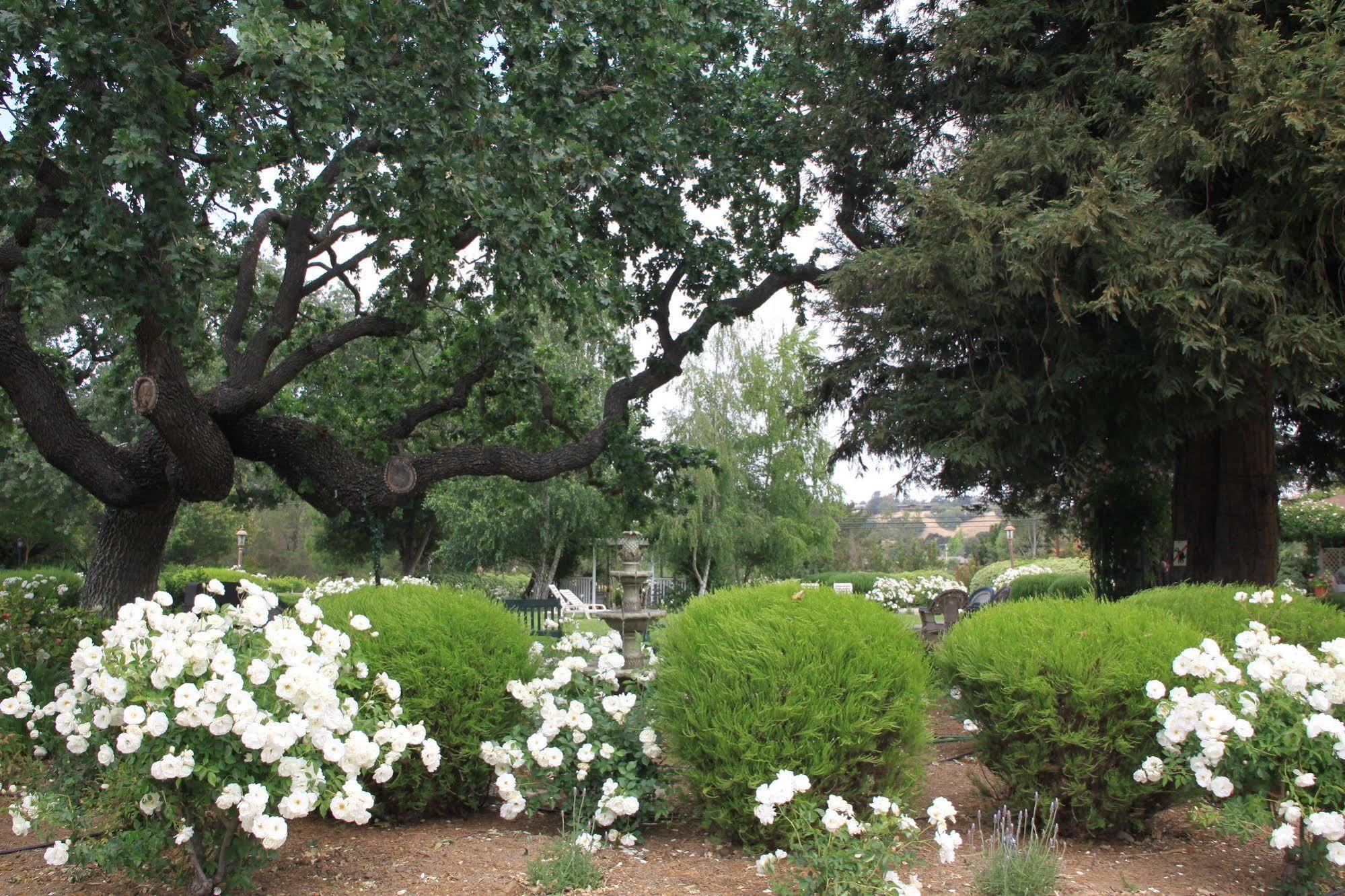 Meadowlark Inn Solvang Kültér fotó